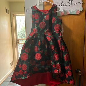 Sleeveless Embroidered Flower High Lo Formal Dress with lining